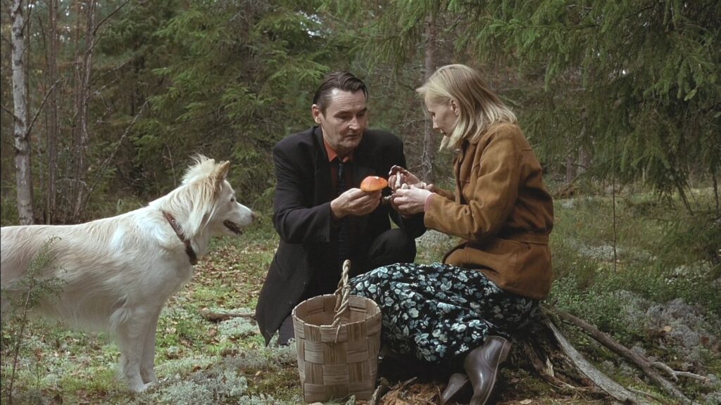 Geçmişi Olmayan Adam - Film Sahnesi